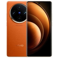 Vivo X100 Pro